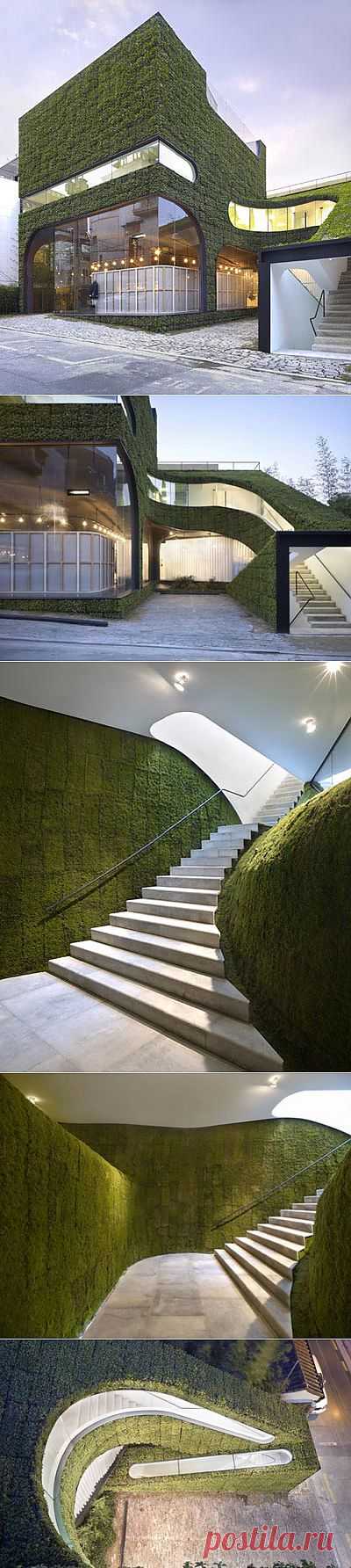 Стильный дом - Травяной Дом моды Анн Демельмейстер.