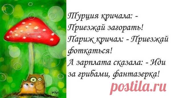ПРИКОЛЬНЫЕ ФРАЗОЧКИ В КАРТИНКАХ