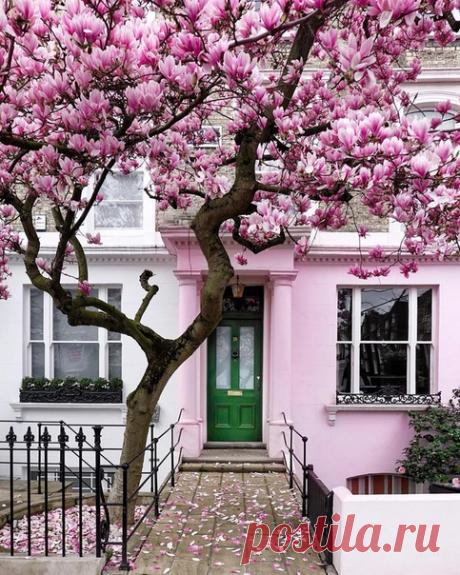 #Кенсингтон@discoverygroup