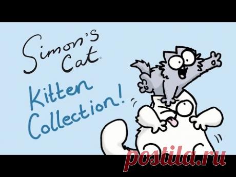 Simon's Cat - Kitten Collection!