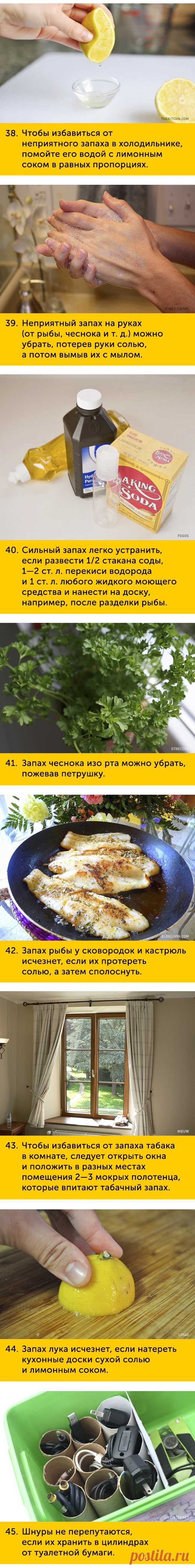 101 совет на все случаи жизни