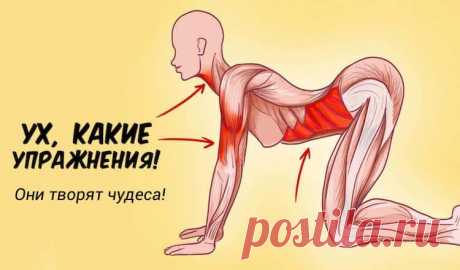 7 упражнений которые творят чудеса с женским организмом. 7 упражнений которые творят чудеса с женским организмом. Комплекс упражнений для женщин Начать стоит с того, чтобы выбрать подходящее время