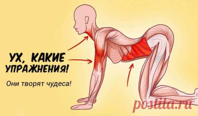 7 упражнений которые творят чудеса с женским организмом. 7 упражнений которые творят чудеса с женским организмом. Комплекс упражнений для женщин Начать стоит с того, чтобы выбрать подходящее время