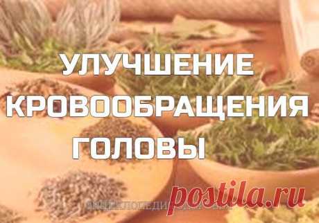 Улучшение кровообращения головы Травы для улучшения мозгового кровообращения применять не только при ухудшении памяти, концентрации, головных болях, головокружениях у взрослых. В профилактических целях лечебные отвары помогут справиться с экзаменами школьникам и студентам, отрегулируют повышенную возбудимость нервной системы у гиперактивных детей. Растения, помогающие улучшить кровообращение мозга: Зверобой – снимает сосудистый спазм, повышает тонус, восстанавливает эндоте...