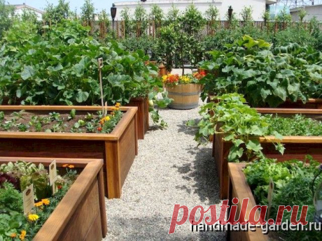 Красивые грядки на даче своими руками: фото вариантов - Своими руками на даче - как посеять, сажать, ухаживать за растениями и цветами