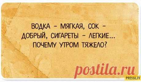 Жена на напольных весах: – Ой, какая я маленькая! Муж: – Ты хочешь сказать – толстенькая? – Вовсе нет, именно маленькая. По стандартам женщина с моим весом должна быть на 20 сантиметров выше. - Выпуск №2323 — Вокруг смеха