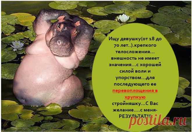 Хотите худеть? Но всё  ещё  думаете??? Ждёте ближайшего понедельника???А может быть стоит просто начать??? Прими решение и приходи к нам в  среду. Мы начинаем 23 апреля,в 22.00 мск.!!!Первое занятие открытое.Это ссылка на мой  мини-сайт http://6.ak-pitaniya.com/ откуда Вы сможете зайти на занятие. Для посещения  занятия необходимо: 1) Ввести свое имя и фамилию, 2) Нажать кнопку "ВХОД"С уважением, тренер по питанию Лайне Тсопп