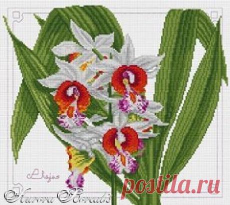Подушки - подборка (вышивание крестом, схемы)