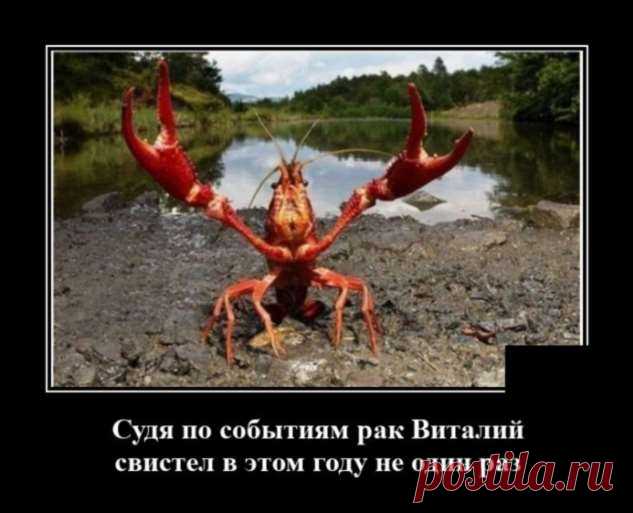 Демотиваторы №2433 (20 фото) . Тут забавно !!!