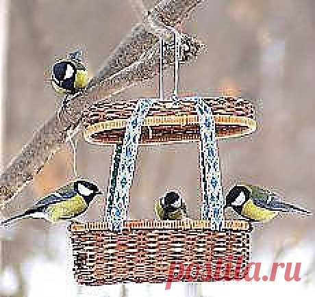 Поиск на Постиле: Кормушки для птиц