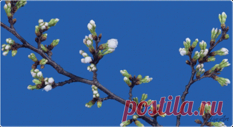 Мой Мир@Mail.Ru