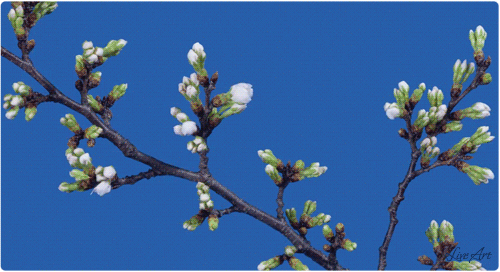 Мой Мир@Mail.Ru