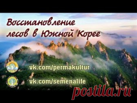 Восстановление лесов в Южной Корее