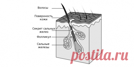 Как часто нужно мыть волосы на самом деле - Лайфхакер