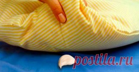 Эта женщина кладет чеснок под подушку сына каждую ночь. Вы начнете делать так же, когда узнаете причину… Вы, наверное, слышали, что некоторые люди кладут чеснок подушку перед сном, чтобы улучшить их сон, не так ли? Другие люди кладут чеснок в карманы — для удачи. И многие люди по всему миру протирают кастрюли и горшки этим овощем, чтобы устранить негатив. Вот поэтому, Вы должны попробовать этот простой метод.