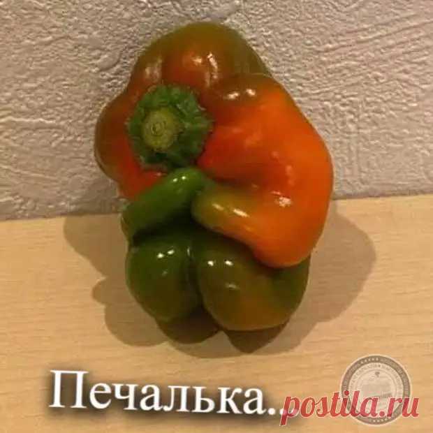 Свежие Анекдоты из Питера за 05.04.2022 - Анекдоты и Шутки из Питера - 7 апреля - 43447273561 - Медиаплатформа МирТесен