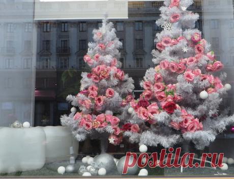 2513286.jpg (1047×801)