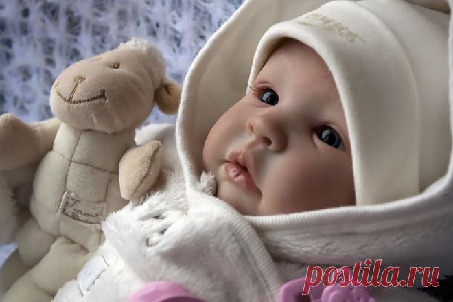 (1) Одноклассники