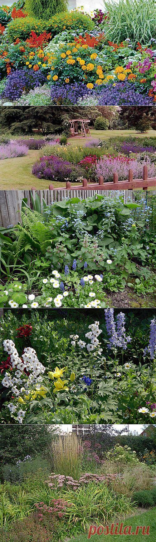 Клумбы непрерывного цветения: неувядающее украшение сада / Ландшафтный дизайн / 7dach.ru