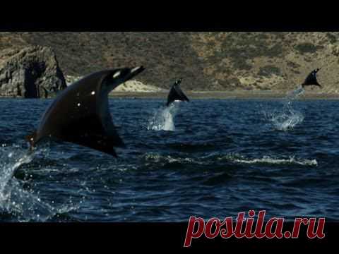 Невероятное и необъяснимое событие было снято на камеру. Вы должны это увидеть! | VICER.RU