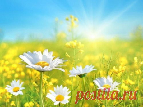 Июльские народные приметы / Мистика