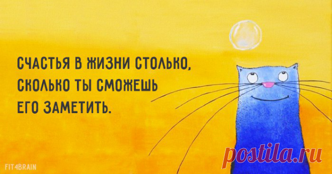 Фото – Google+