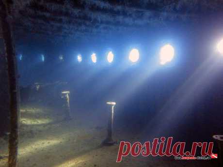 Дайвинг в Хургаде | Фотогалерея | Wreck Balena | Свет