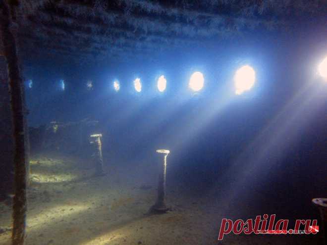 Дайвинг в Хургаде | Фотогалерея | Wreck Balena | Свет