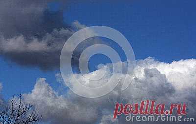 Stock Photos, Royalty-Free Images & Video Footage By Dreamstime Stock Photography