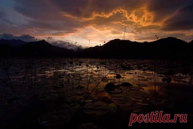 (1) This is Montenegro