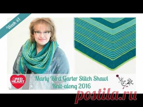 Marly Bird Garter Stitch Shawl Knit-along Week 1