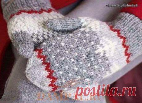 (11) Facebook