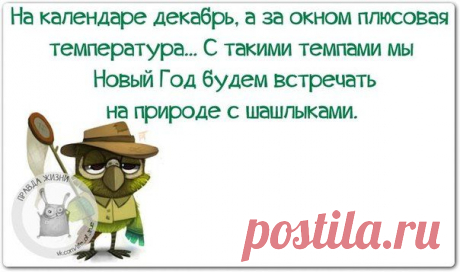 Новогодние фразочки со смыслом :) | Сайт Союза Юмористов