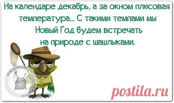 Новогодние фразочки со смыслом :) | Сайт Союза Юмористов