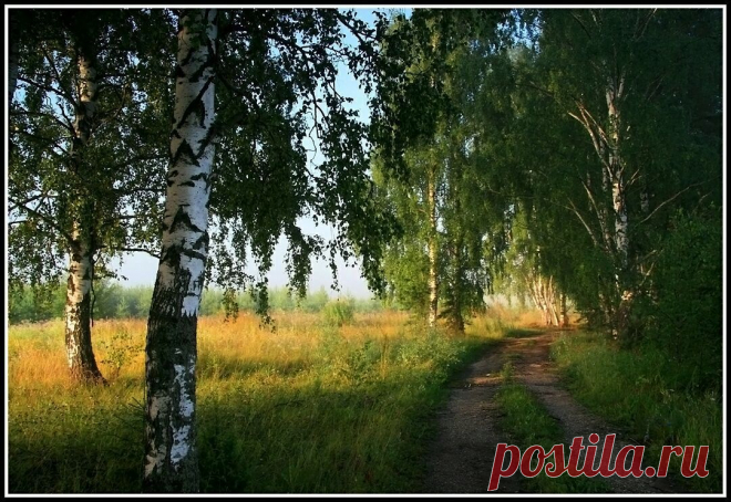 35PHOTO - Василий Черкасский - Родные места