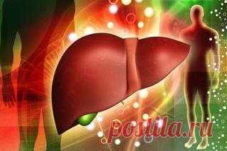 Стрессовые боли в спине: теория доктора Джона Сарно