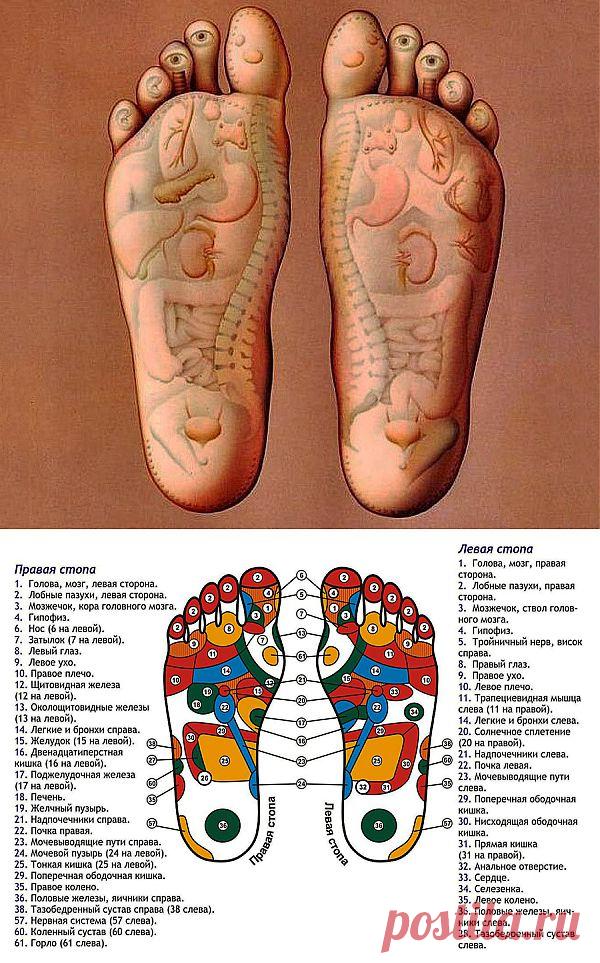 Самомассаж: Берем ноги в руки...