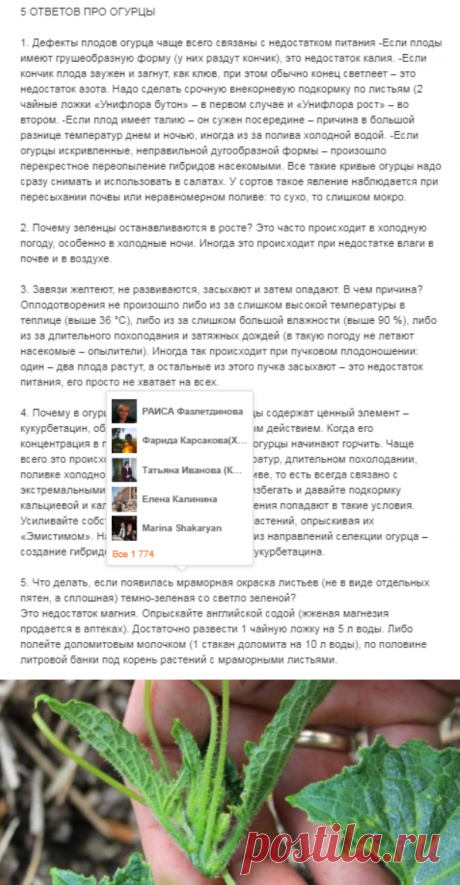 (5) Одноклассники