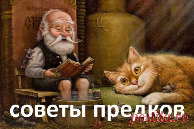 Google+
