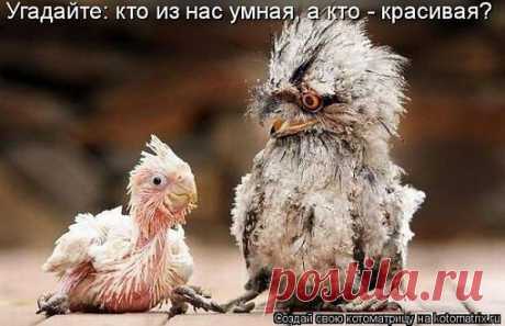 Улыбнись!