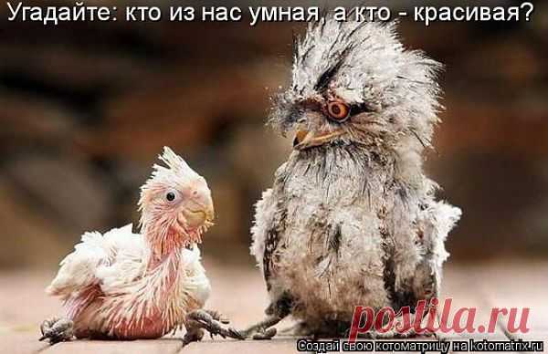 Улыбнись!