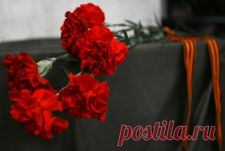 Красные гвоздики... (Лариса Абрамян) / Стихи.ру