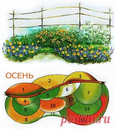 Клумба непрерывного цветения