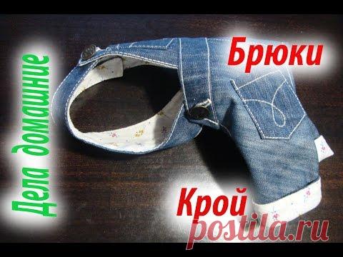 Брюки для собаки.Раскладка выкройки на ткань.