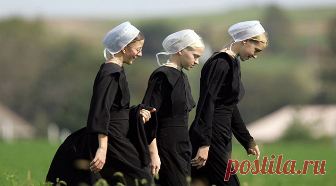 15 интересных фактов об амишах – одном из самых известных религиозных меньшинств