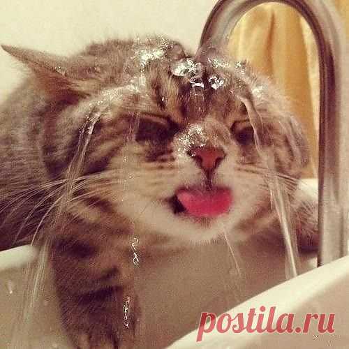 По усам текло........а врот не попало=)))