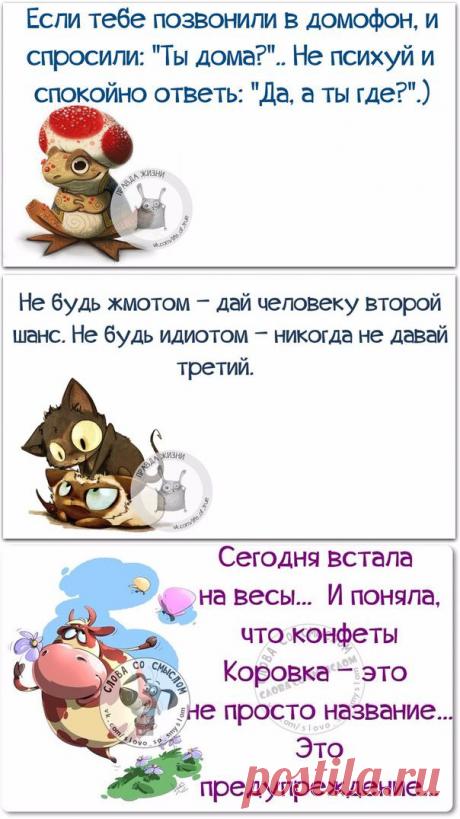 Прикольные позитивные фразочки в картинках | Сайт Союза Юмористов