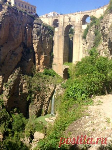 Подборка прикольных фотографий (70 фото)