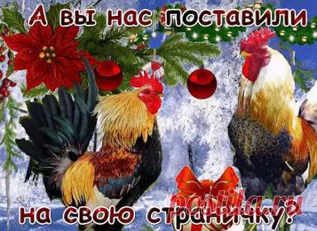image (500×364)