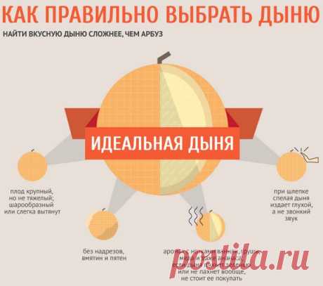Дыня при грудном вскармливании